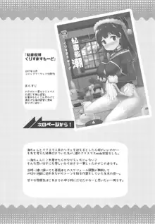 秘書艦潮これくしょん, 日本語