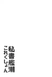 秘書艦潮これくしょん, 日本語