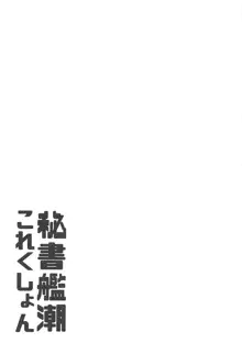 秘書艦潮これくしょん, 日本語