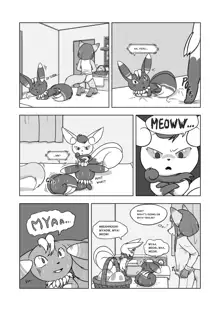 Ripplefox - Late Night Cat's Egg, English