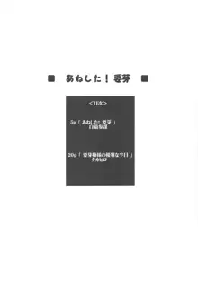 あねした！要芽, 日本語