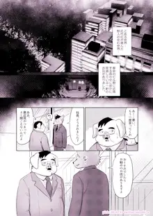 耳から感じて, 日本語