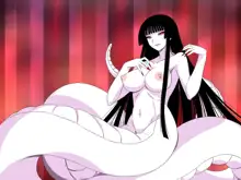 Super Hentai CG Shuu O-01 Youkai Hakuja Hime, 中文