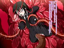 Super Hentai CG Shuu O-01 Youkai Hakuja Hime, 中文