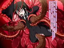 Super Hentai CG Shuu O-01 Youkai Hakuja Hime, 中文