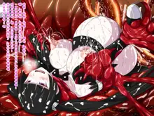 Super Hentai CG Shuu O-01 Youkai Hakuja Hime, 中文