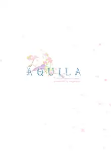 AQUILA, 中文