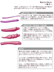 触手によるふたなり女剣士のペニス事情, 日本語