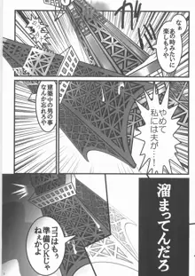 シン掘ル, 日本語