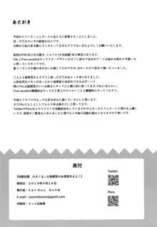 任務目標 小さくなった指揮官のお世話をせよ!, 日本語