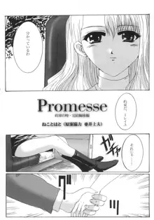 Promesse ＩＩＩ 約束の時・完結編後編, 日本語