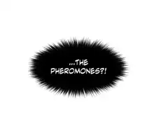 Pheromone-holic, English