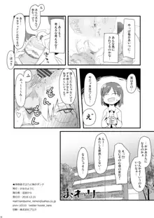 赤枝依子(27)と妹のダンナ, 日本語