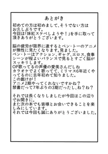 妹紅スケベしようや!, 日本語