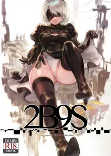 2B9S, 한국어