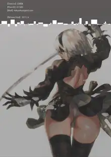 2B9S, 한국어