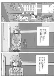 女子高生風見幽香痴漢電車被害, 日本語