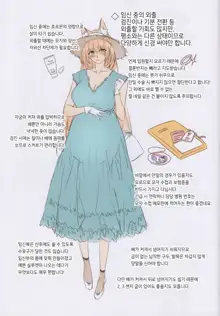 JUNE BRIDE Maternity Photo Book, 한국어