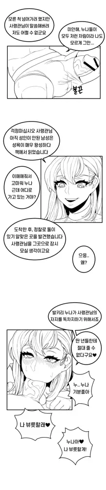 단편선 - 해변의 사령관과 발키리 누나, 한국어