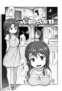 なにするの!?おにいちゃん!!, 日本語