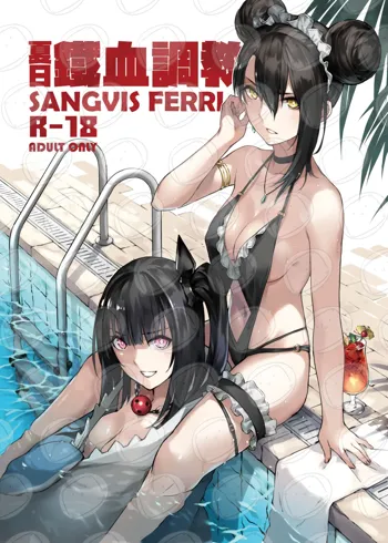 夏日鐵血調教~SANGVIS FERRI~, 中文