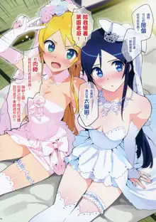 Oreimo Selection 2016 Fuyu (decensored), 中文