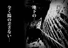 今夜、母と妊活します。 肆, 日本語