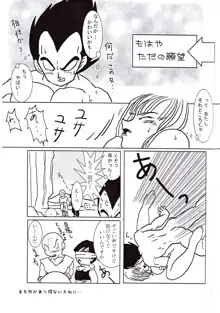 Vegeta and Bulma Love, 日本語