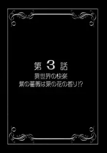 みるくますたーず2, 日本語