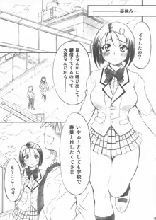 とらぶるっ娘, 日本語