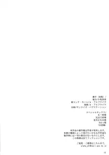 いろんなふたなりッ娘にしたり!されたり!2 準備号, 日本語