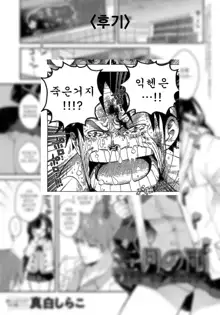 Sangatsu no Ame, 한국어