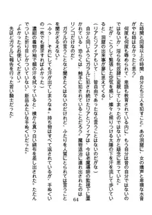 竜を斬る女侍も肉刀には敵わない, 日本語