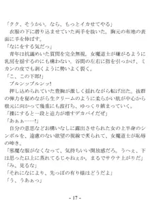 おい女魔道士、いれていいよな, 日本語