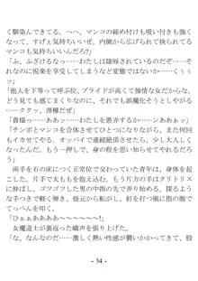 おい女魔道士、いれていいよな, 日本語