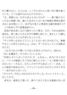 おい女魔道士、いれていいよな, 日本語