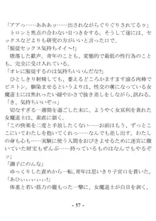 おい女魔道士、いれていいよな, 日本語