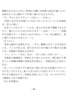 おい女魔道士、いれていいよな, 日本語