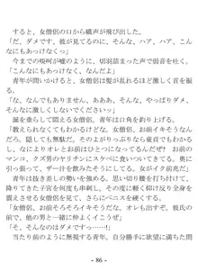 おい女魔道士、いれていいよな, 日本語