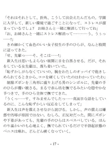 ケンゼン学園の風紀委員, 日本語