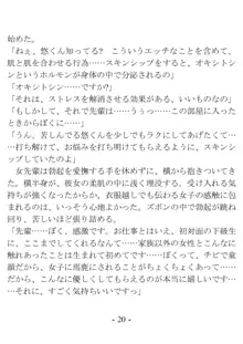 ケンゼン学園の風紀委員, 日本語