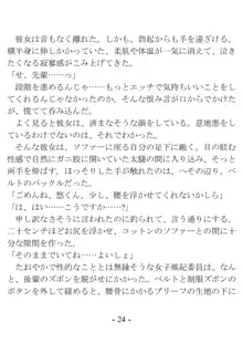 ケンゼン学園の風紀委員, 日本語