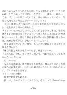 ケンゼン学園の風紀委員, 日本語