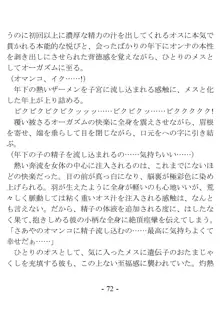 ケンゼン学園の風紀委員, 日本語