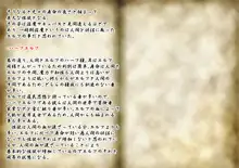 もしもサキュバスが淫魔界から溢れてきたら…, 日本語