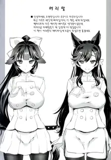 SAKURA FLEET [In the case of Takao and Atago.] | 사쿠라 엠파이어, 한국어