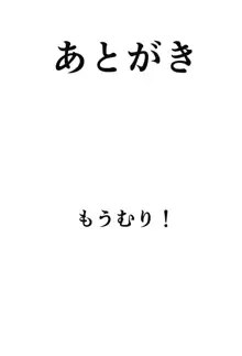 びびびびRIII, 日本語