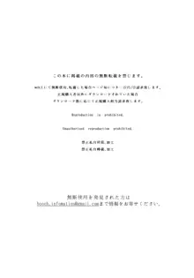 夏のお嬢さんがゆきずりおまんこしてくれる, 日本語