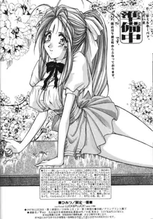 [LUCK&PLUCK!Co. (Amanomiya Haruka) Himitsu/Gentei Issatsu (Ah! My Goddess, You're Under Arrest!) [English], English