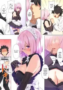 Chaldea Maid #Mash | 칼데아 메이드 #마슈, 한국어